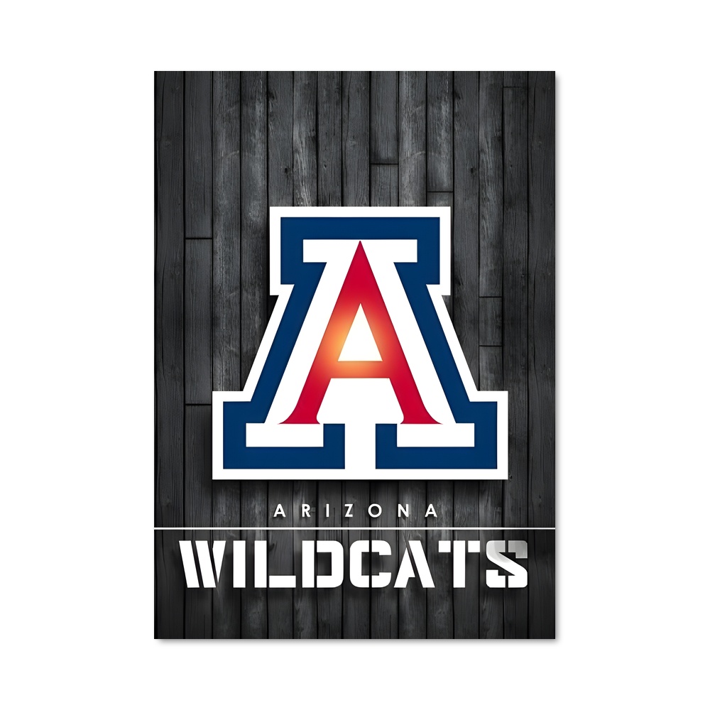 Poster Wildcats Fury – affiche Basketball